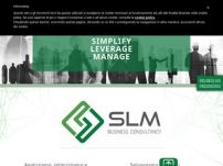 SLM Business Consultancy