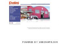 PALINI SRL