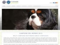 Cuccioli di Cavalier King