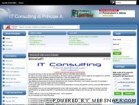 IT Consulting