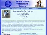 ambulatorio veterinario centro Torino
