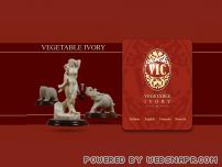 Vegetable Ivory