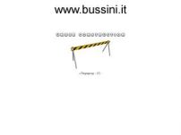 Bussini Transport