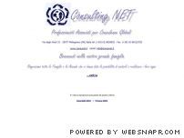 Consulting Net