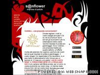 impresa di pulizie s@nflower srl