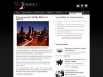 Agenzia SEO NetStrategy