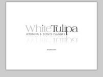 White Tulipa