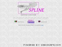 Spline