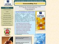 Ce.S.A. Consulting S.r.l.