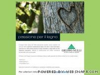 Visita Gruppo Nulli