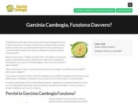 Garcinia Cambogia Extract