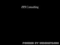 ITS Consulting