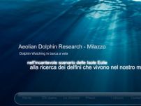 Aeolian Dolphin Research