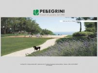 Pellegrini Giardini-progettazione e realizzazione giardini-