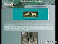 Hotsouthwind labradors